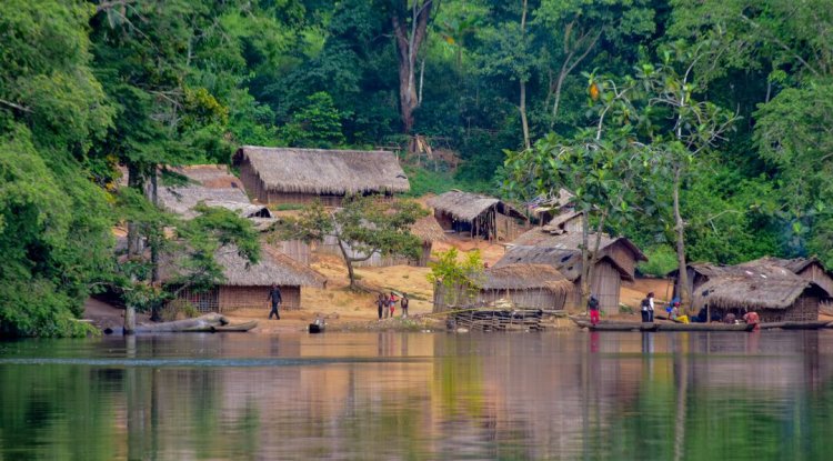 Weak Governance, Poverty Challenge Congo Basin Forest Protection: Study