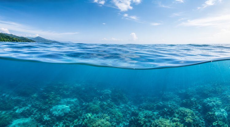 Global Ocean Protection Reaches a Major Milestone: More Than 10% Now Protected
