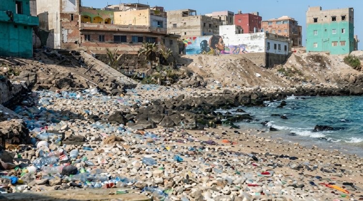 New UN Ocean Assessment Warns of Deepening Crisis in Marine Ecosystems