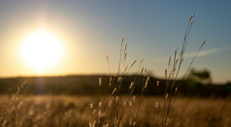 May 2026 Was The Second-Warmest May Ever Recorded Globally