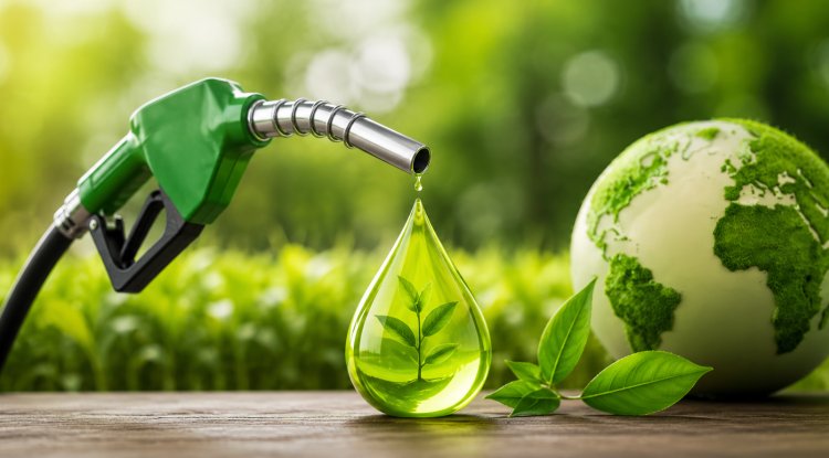 India Expands Ethanol Fuel Incentives to Reduce Oil Dependence