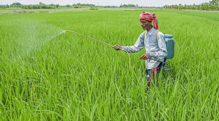 Telangana Releases Climate Bulletin to Help Farmers Tackle Weather Risks