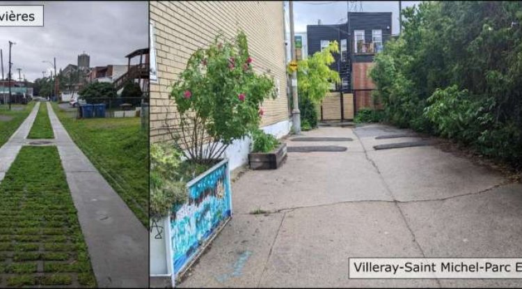 Chicago Study Finds Mixed Results From Green Alley Projects