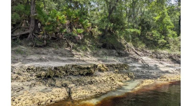 Study Maps Pressures On Florida’s Freshwater Resources