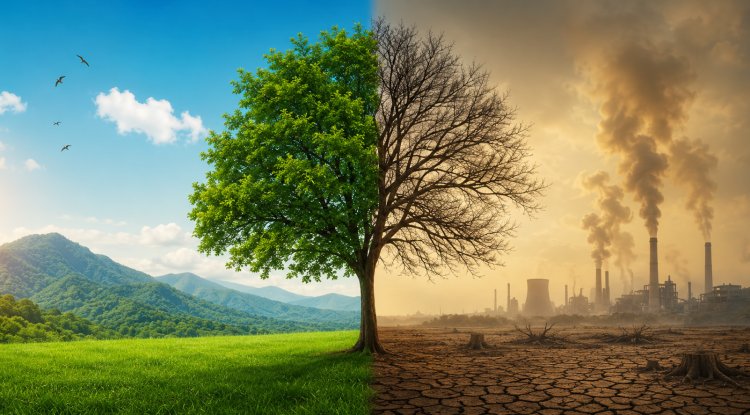 Biodiversity Loss Could Hurt India's Economy and Increase Borrowing Costs, Study Warns