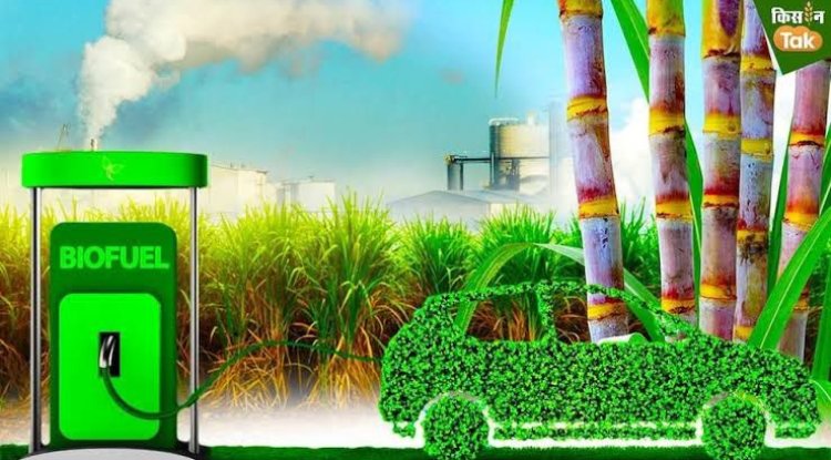 Bioenergy Emerges as Key Pillar of India’s Energy Security Strategy