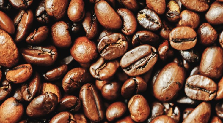 Study Finds Coffee Waste Could Be Used As High-Performance Building Insulation
