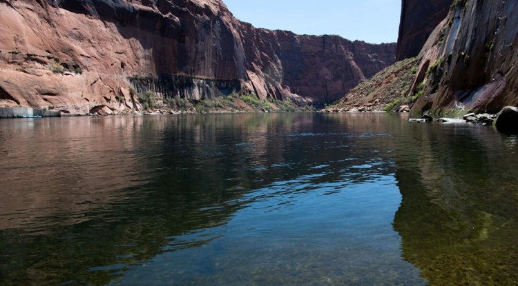 Google Reports 7 Billion Gallons of Water Replenishment Through Stewardship Projects