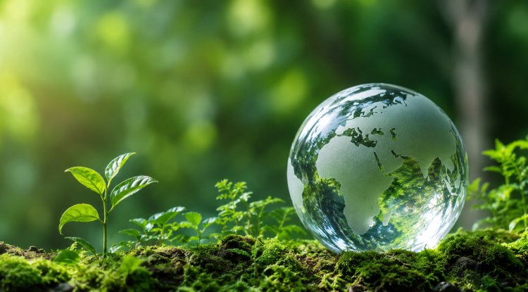 Bloomberg Adds New Climate Risk Tools Amid Energy Shift