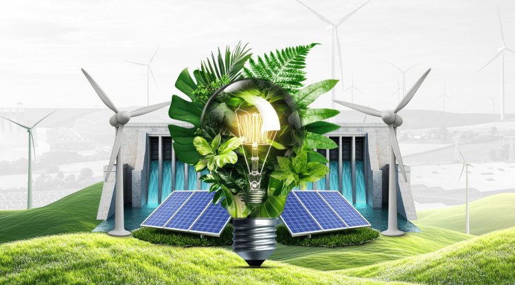 India Emerges as Global Renewable Energy Leader, Says MNRE Secretary