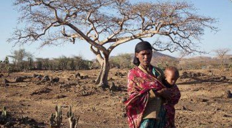 Extreme Weather and El Niño Could Deepen Global Hunger Crisis: UN