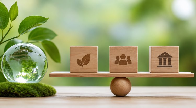 EU Council Approves Simpler SFDR Rules to Reduce Greenwashing Risks