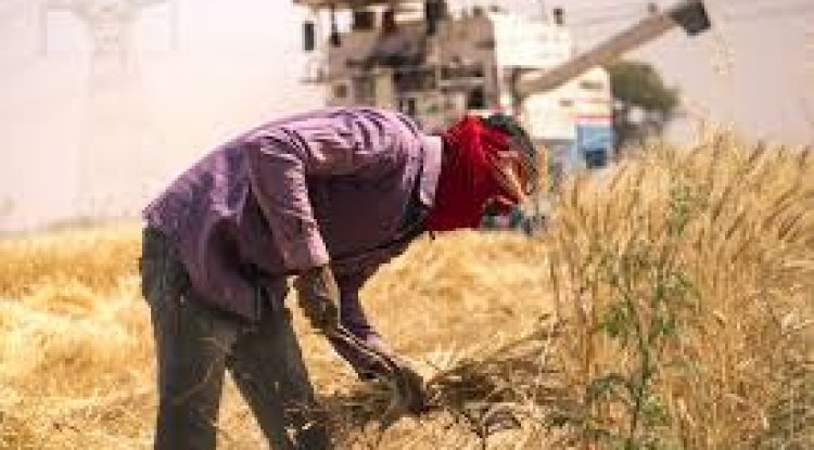 Cleaner Air From Climate Action May Help Reduce Global Hunger