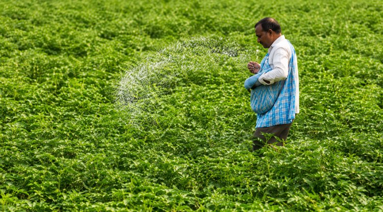 India Unveils Roadmap to Scale Up Green Urea Production