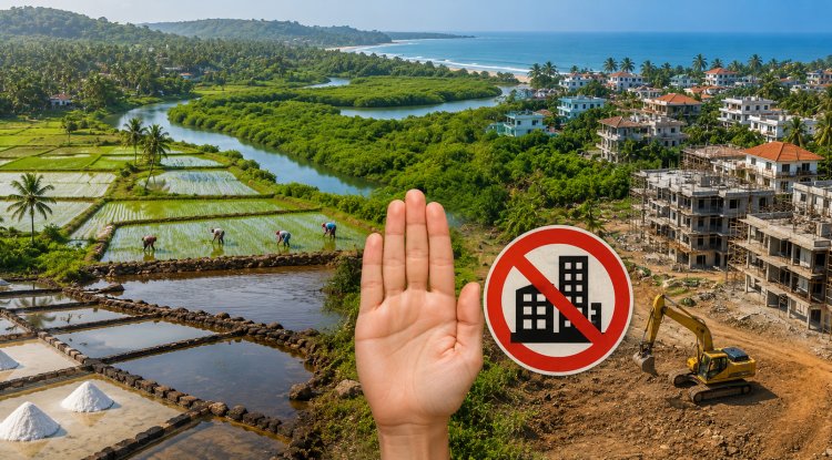 Goa Declares 1.03 Crore Sq Metres in Salcete as No Development Zone