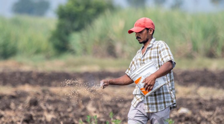 ICAR Seed Coating Technology Raises Crop Yields by Up to 30% in Field Trials