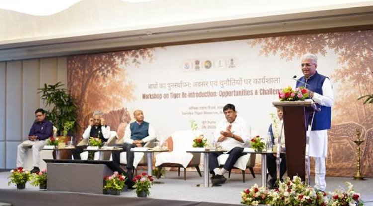 India Unveils Tiger Reintroduction Roadmap, Highlights Sariska's Conservation Recovery