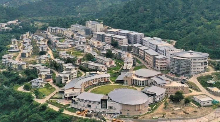 IIT Mandi Study Finds Plants Respond to Anaesthesia in a Coordinated Way
