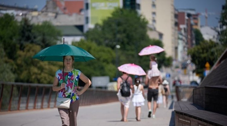 Europe Heatwave Linked to Over 1,300 Excess Deaths Since June 21, Says WHO