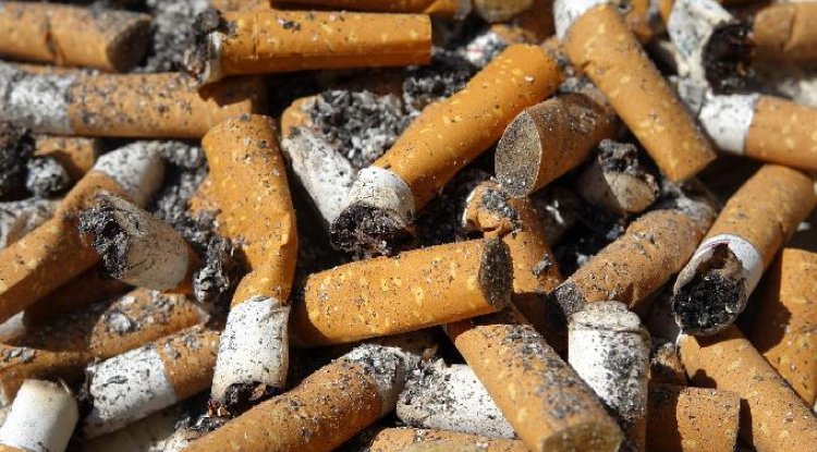 Cigarette Butts Can Pollute the Environment for Years, Scientists Warn