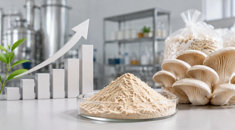 Protein Brewery Raises $20M to Scale Sustainable Protein Production