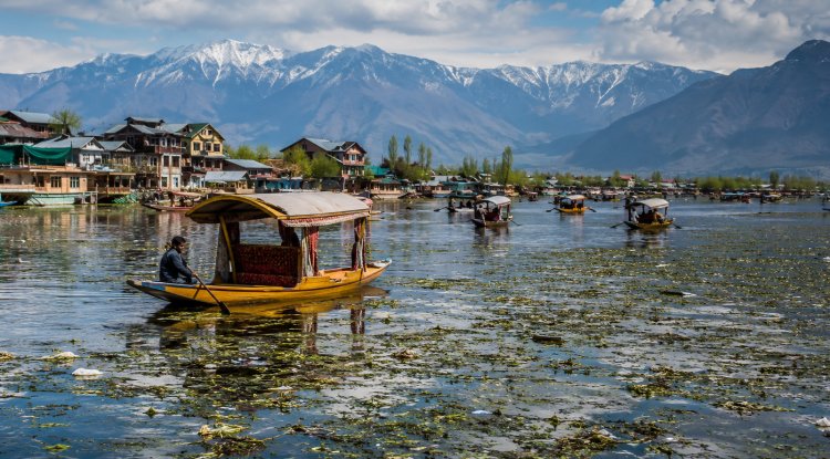Dal Lake Faces Growing Pollution and Climate Threat