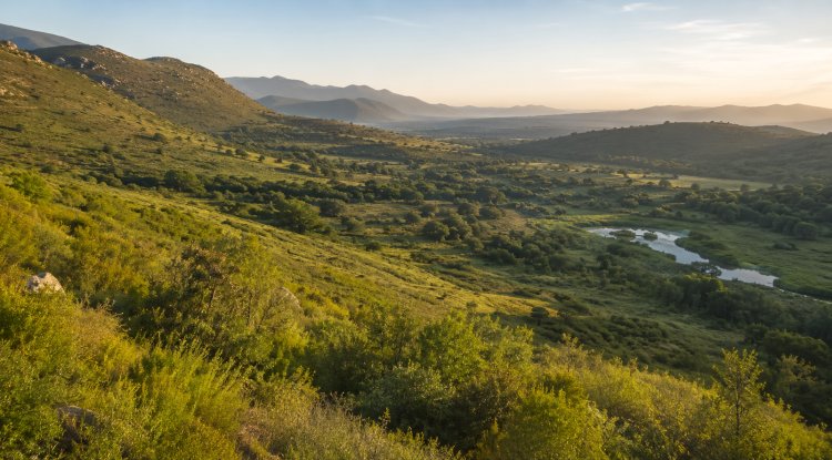 Amazon Signs 2 Million-Tonne Carbon Removal Deal in South Africa