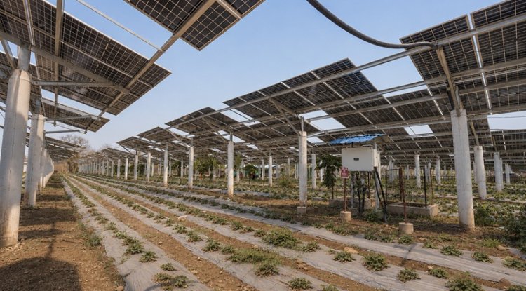 WattPower Powers 4.5 MW Agrivoltaics Project In Madhya Pradesh