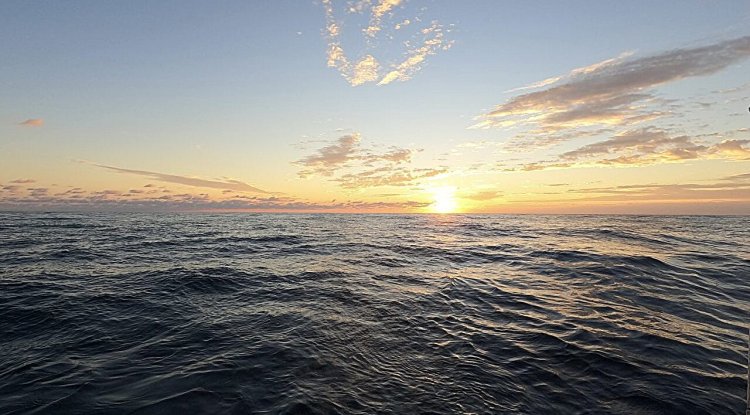 Study Finds Hidden Chemical Signals Fueling Ocean Carbon Cycle