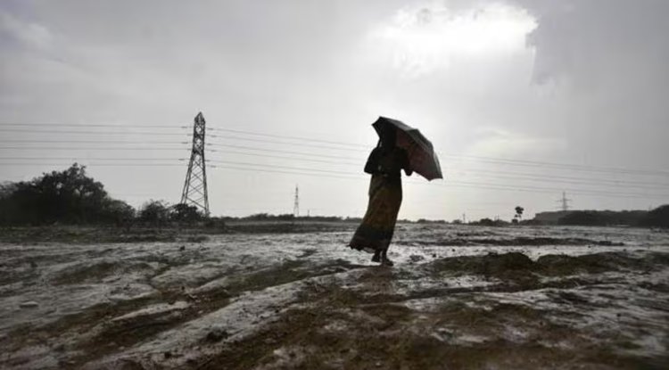 WMO Raises Forecast for Strong El Niño as Pacific Warming Intensifies