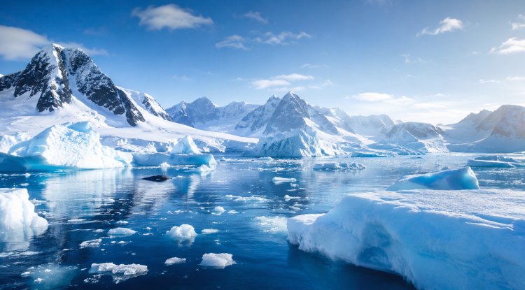 A joint University study has found that Antarctic Sea Ice acts as a large reservoir of compounds that cool the climate.