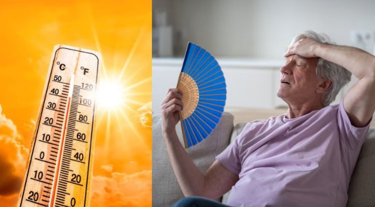 Europe's Record Heat Explained: Causes and Climate Impact