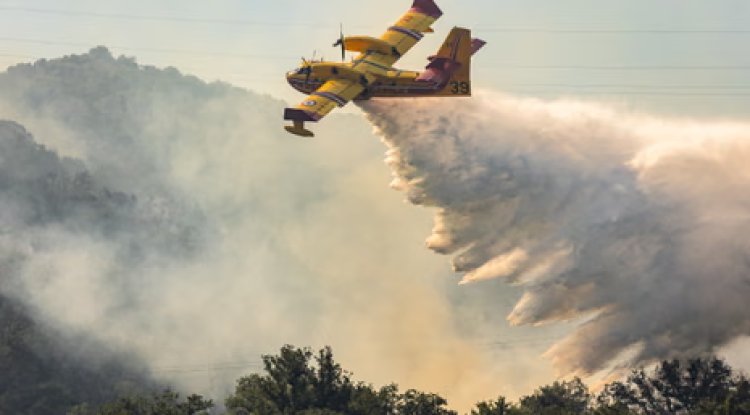 Thousands Evacuated as Wildfires Burn Across Southern Europe