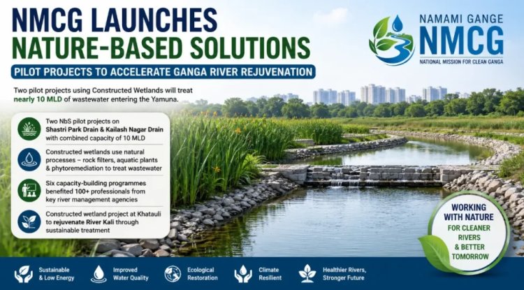 NMCG Starts Two Constructed Wetland Projects for Yamuna Drain Treatment