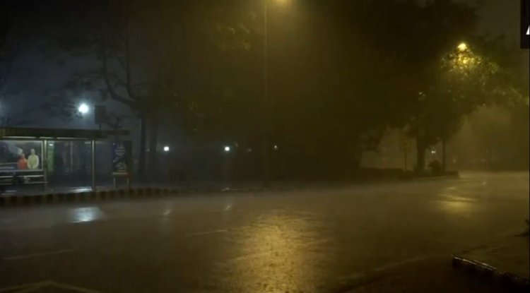 Delhi Air Quality Hits 3-Year Best As Rain Fells Trees, Cracks Road