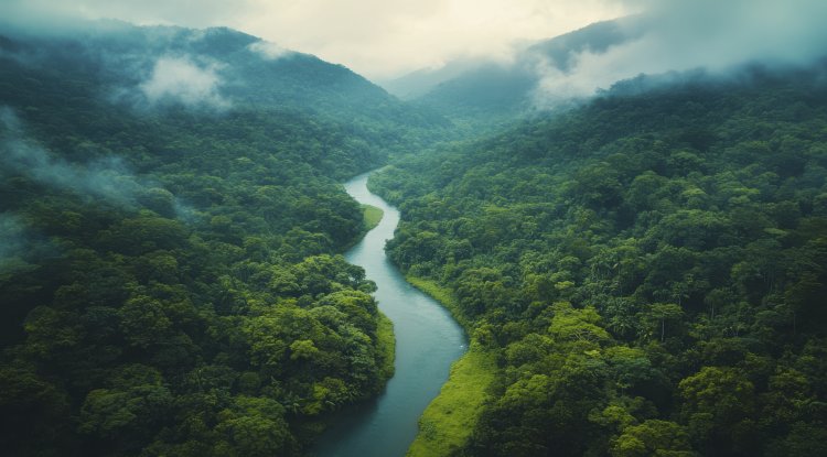 Climate Change Threatens Amazon's Indigenous Plant Knowledge, Study Warns