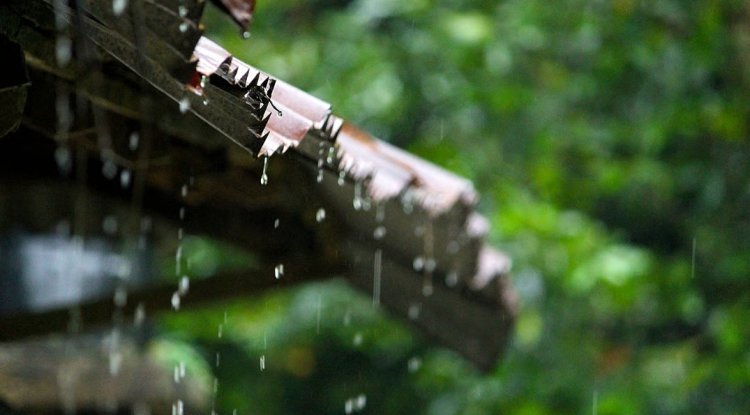 IMD Issues Heavy Rain Warnings for 10 States as Active Monsoon Intensifies