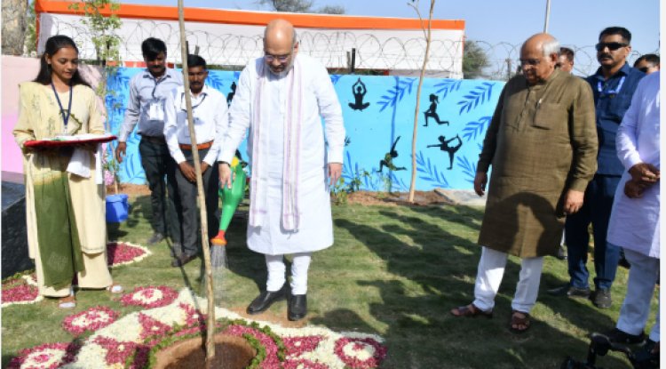 Over 1.5 Crore Trees Planted in Gujarat Campaign to Boost Green Cover