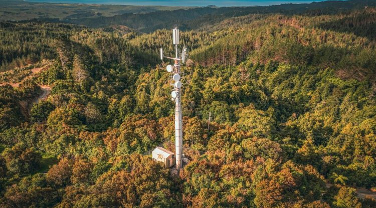 One New Zealand Reports Progress on Science-Based Climate Targets in 2026 Sustainability Report