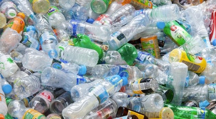 Plastic Recycling Wash Water May Contain Harmful Phthalates, Study Finds
