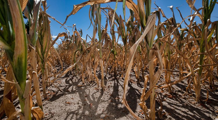 Extreme Climate Impacts Possible Even at 2°C Warming, Study Finds