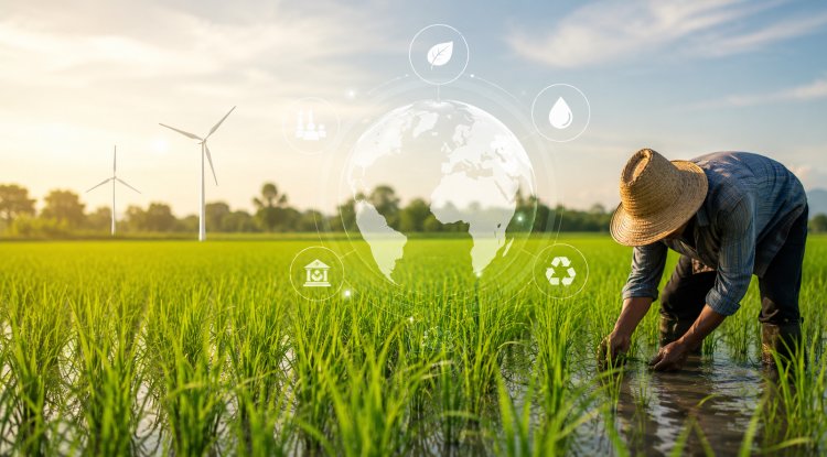 Rize Raises $31 Million to Cut Emissions From Rice Farming