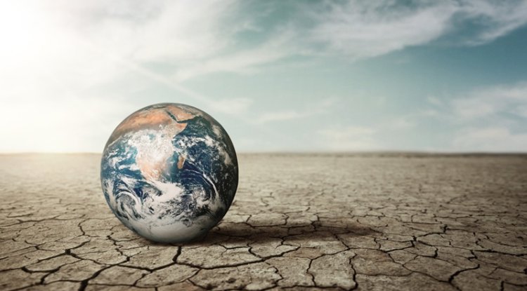 How Universities Are Emerging as India's New Sustainability Laboratories
