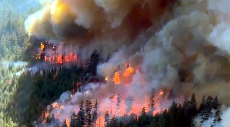 Canada Battles One of Its Worst Wildfire Seasons as Nearly 1,000 Fires Burn