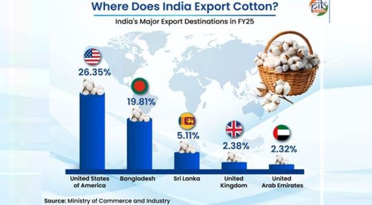 White Gold: Inside India's Cotton Story, From a Rajkot Field to the Global Market