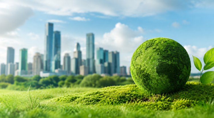 Climate Transition Plan Disclosures Reach 69% Under CSRD: EFRAG
