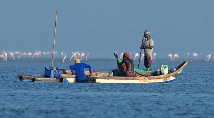 India Joins WTO Fisheries Subsidies Agreement to Promote Sustainable Marine Resources