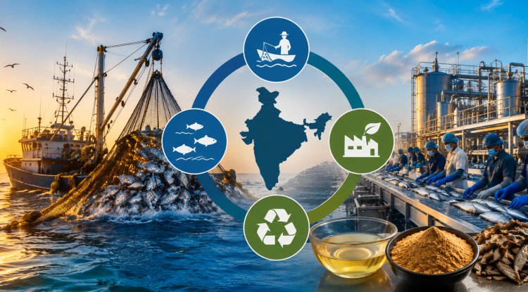 IMIA Pushes for Unified Sustainability Framework for India's Marine Ingredients Industry
