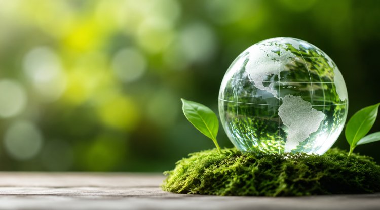 BlackRock Unveils Impact Investing Solution for Institutions